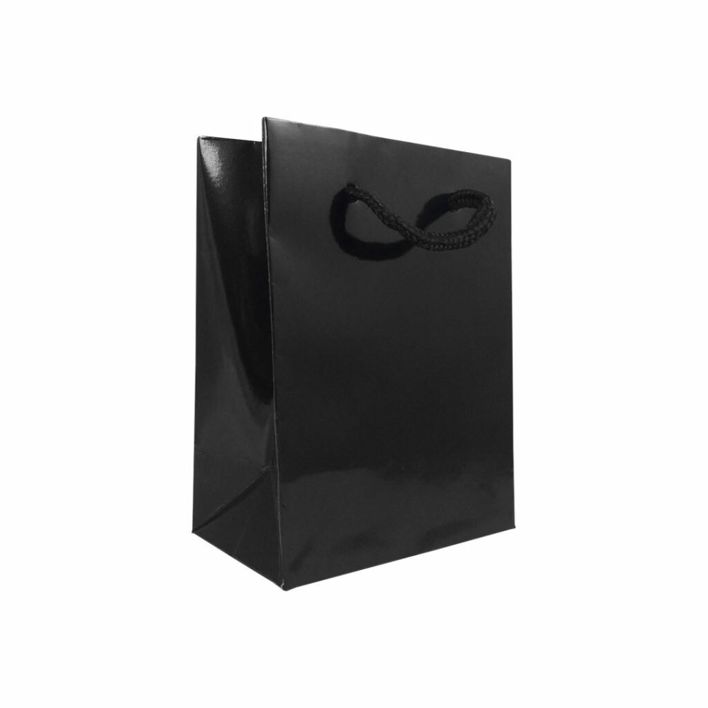 Gloss Laminated Rope Handle Paper Bags 11 Cm Wide APL Packaging