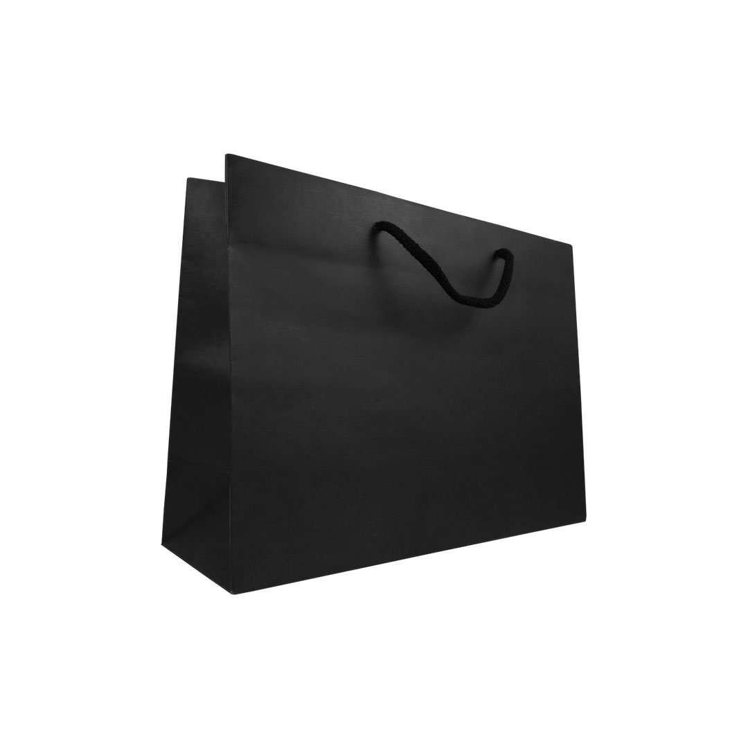 Download Matt Laminated Rope Handle Paper Bags, 25 cm wide | APL ...