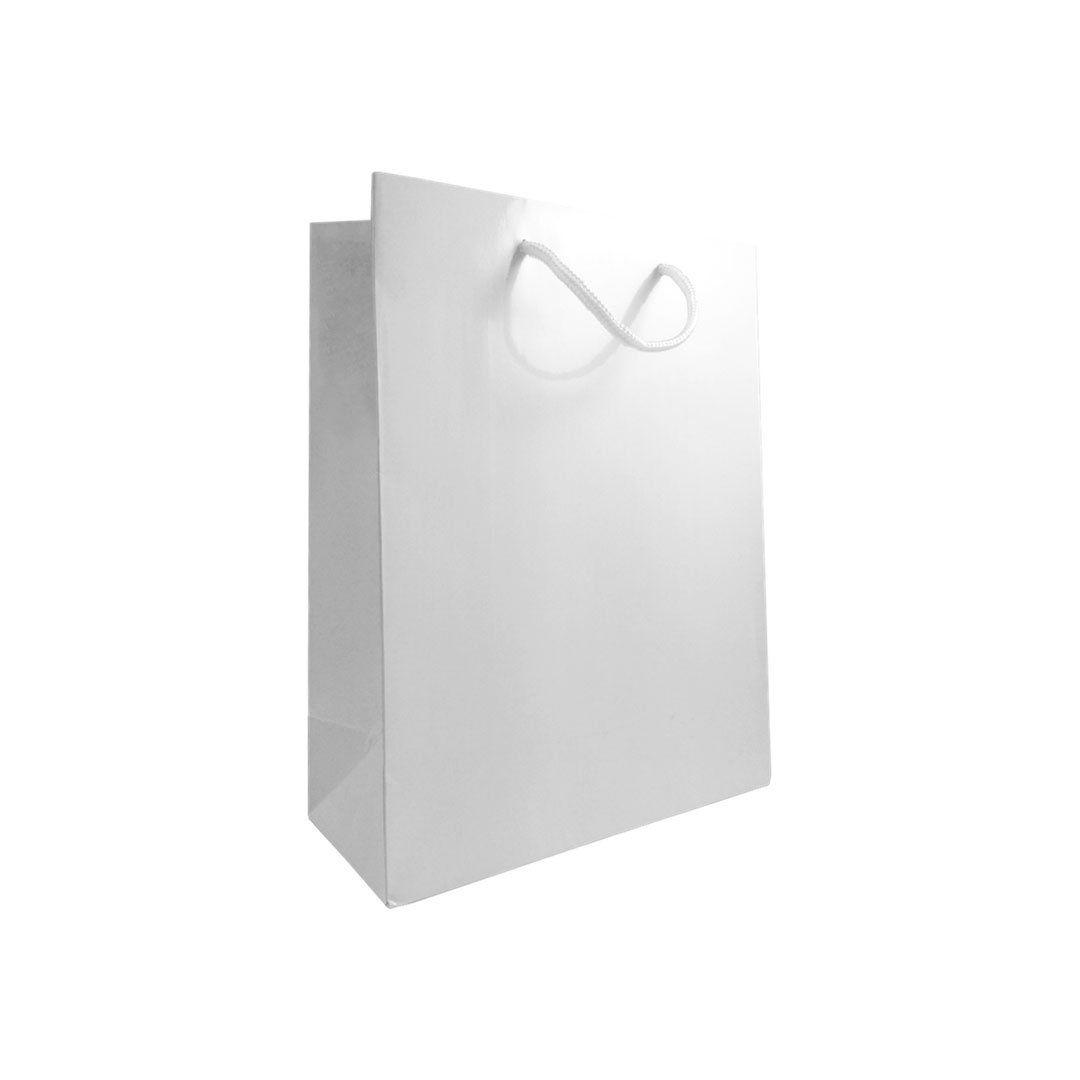 Download Gloss Laminated Rope Handle Paper Bags, 25 cm wide | APL ...