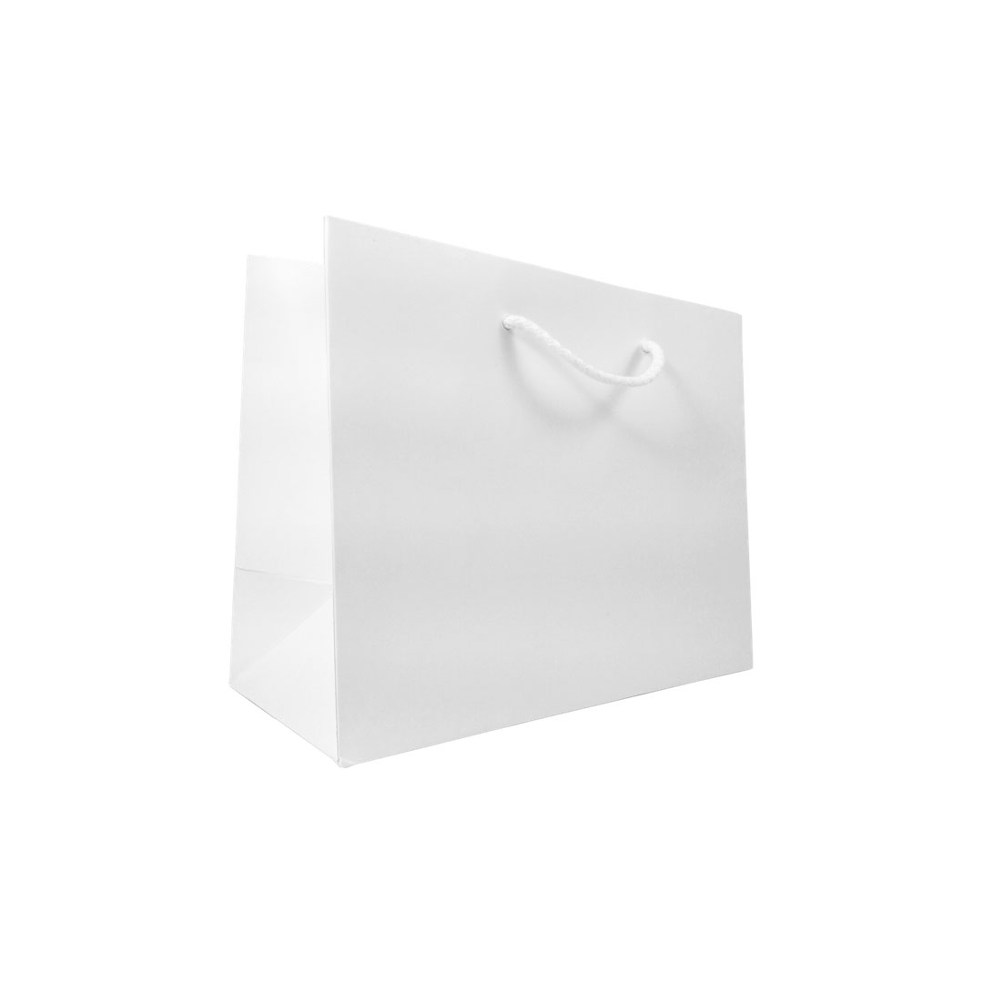 Matt Laminated Rope Handle Paper Bags, 25 cm wide | APL Packaging